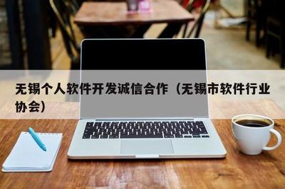 無錫個人軟件開發(fā)誠信合作 軟件外包服務(wù)保障